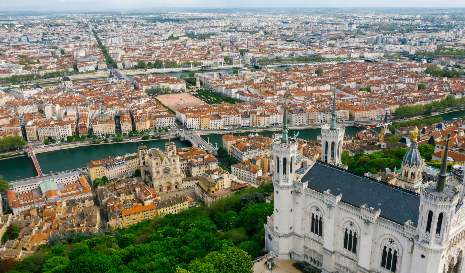 Gazon en rouleau Lyon (69) - Rhône-Alpes